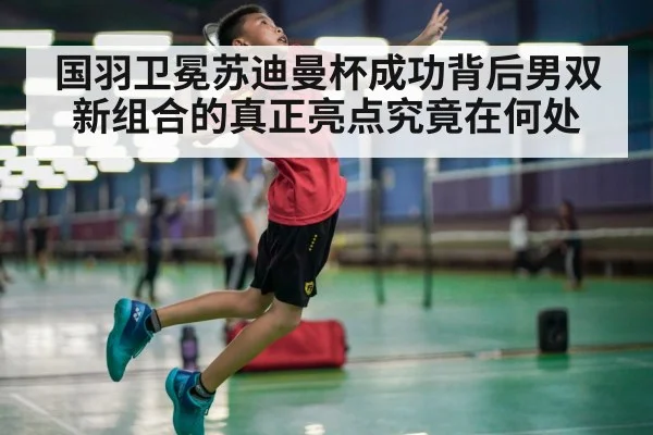 国羽卫冕苏迪曼杯成功背后男双新组合的真正亮点究竟在何处