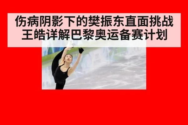 伤病阴影下的樊振东直面挑战 王皓详解巴黎奥运备赛计划