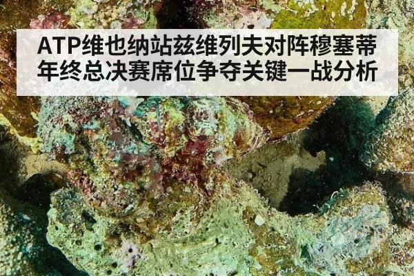ATP维也纳站兹维列夫对阵穆塞蒂年终总决赛席位争夺关键一战分析