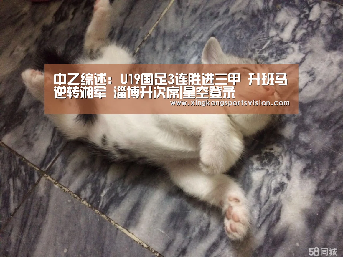 中乙综述:U19国足3连胜进三甲 升班马逆转湘军 淄博升次席|星空登录(图2) 星空官网