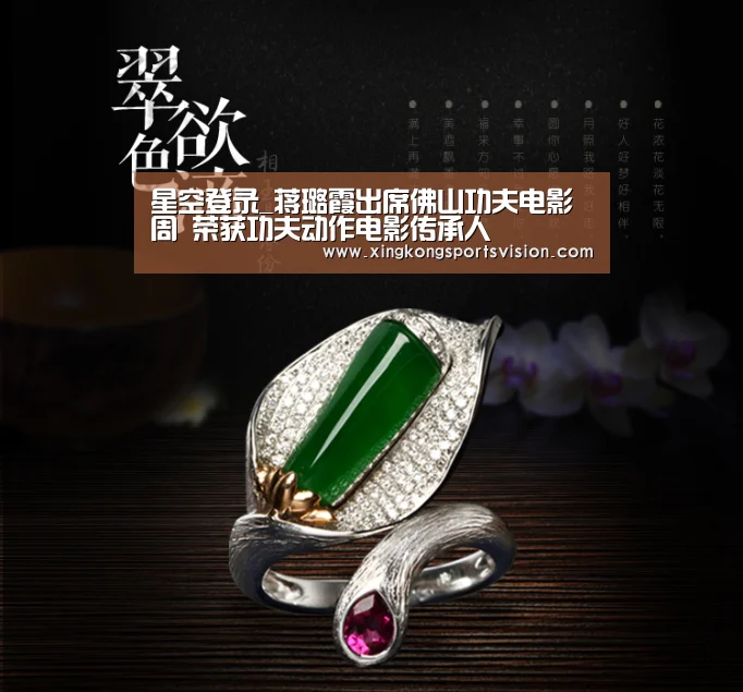 星空登录_蒋璐霞出席佛山功夫电影周 荣获功夫动作电影传承人(图2) 星空电竞