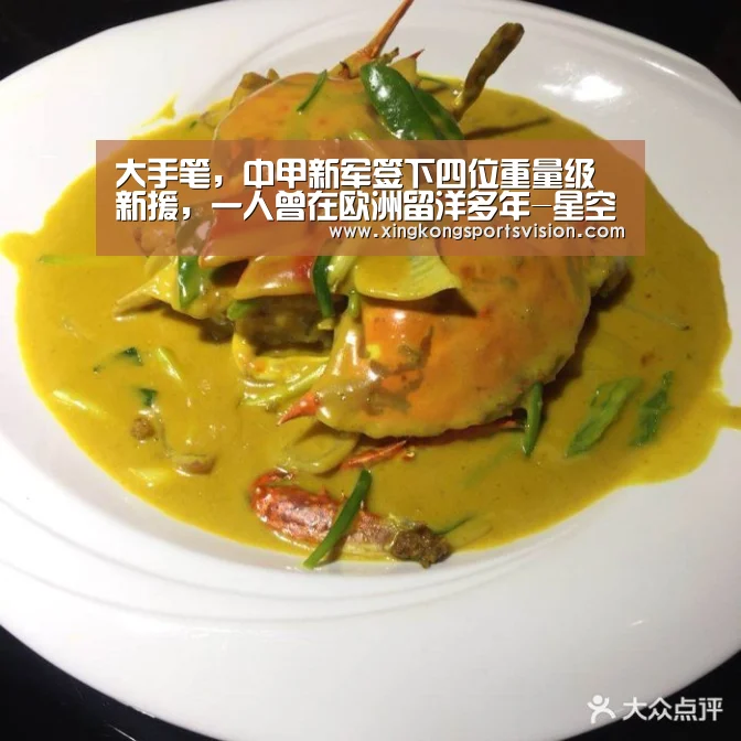 大手笔,中甲新军签下四位重量级新援,一人曾在欧洲留洋多年-星空登录(图1) 星空登录